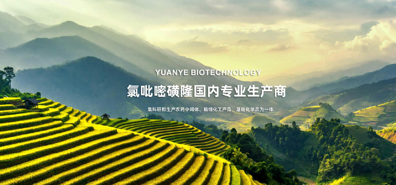 潍坊原野生物科技有限公司