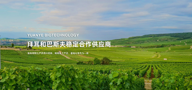 潍坊原野生物科技有限公司